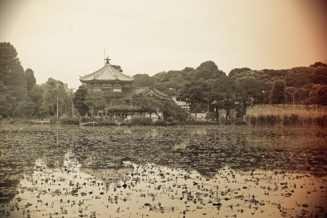 戦後の混乱期、よねや轟たちが守ろうとした市井の人々が集った上野・不忍池周辺のイメージ